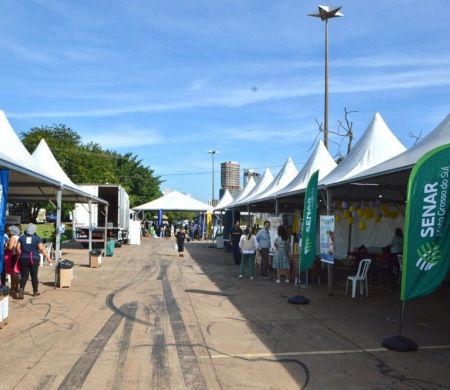 Drive da Sustentabilidade inicia nova edição nesta quinta (19)