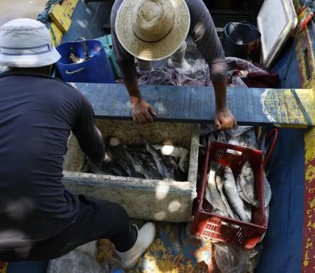 Sexto lote do Seguro-Defeso é pago a pescadores nesta terça-feira