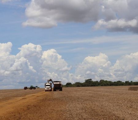 Exportações de MS somam US$ 2,51 bi e mantêm superávit no trimestre