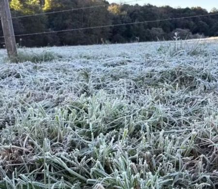 RS terá os primeiros dias de frio intenso do ano e risco de geada&nbsp;