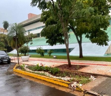Nova solução verde de drenagem na Capital aposta em jardins de chuva&nbsp;