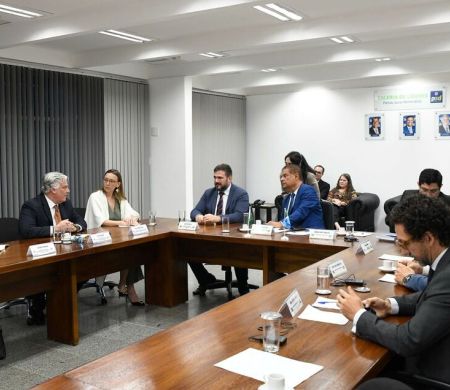 Nelsinho discute minerais críticos com representantes do Senado dos EUA