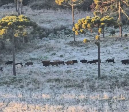 Frio perde força na quarta, mas nova frente fria deve chegar na sexta
