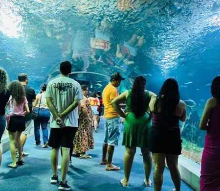 Bioparque se prepara para sediar evento nacional de zoológicos e aquários