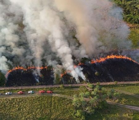 Manejo integrado fortalece prevenção de incêndios no Pantanal de MS&nbsp;