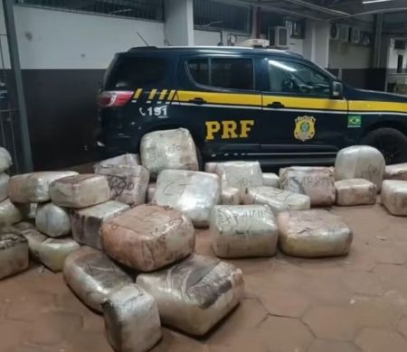 Carga de mais de meia tonelada de drogas é apreendida em MS
