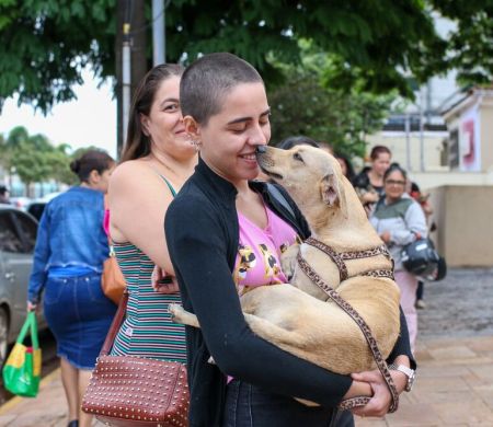 Feira incentiva adoção responsável com mais de 50 pets na Capital&nbsp;