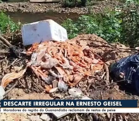 Carga de salmão podre é descartada às margens de rio e revolta moradores