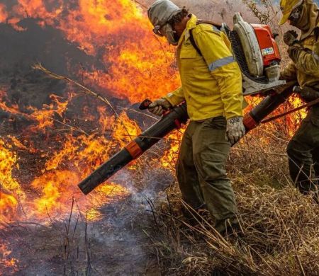 Verba de R$ 337 milhões contrasta com avanço da devastação no Brasil
