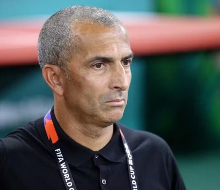 Técnico da Tunísia cai após sofrer goleada da Suécia na Copa&nbsp;
