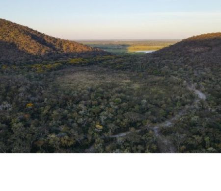 Programa em MS paga produtores por conservação do Pantanal