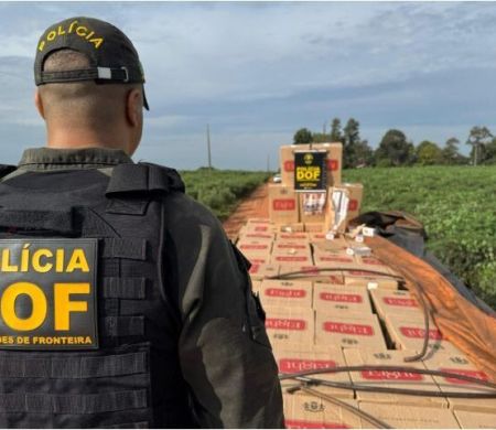 DOF apreende mais e desarticula R$ 320 milhões do crime no semestre