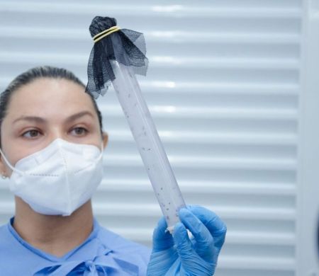 Sesau promove oficina para reforçar combate à dengue, zika e chikungunya na capital