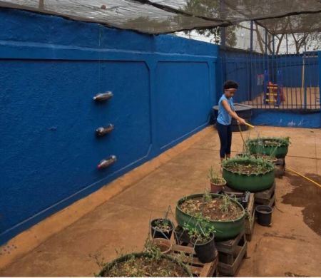 Escola municipal conquista prêmio nacional de educação ambiental