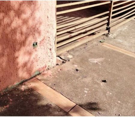 Homem é morto em frente à casa da ex-companheira em Dourados