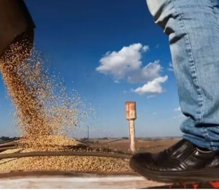 Brasil pode superar EUA nas exportações agrícolas, diz Financial Times