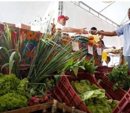 Autônomos e produtores rurais ganham prazo para obter CNPJ