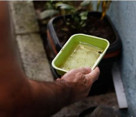 El Niño pode agravar surtos de dengue e chikungunya