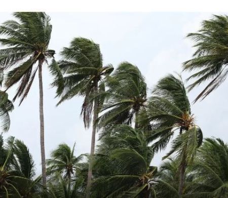 Corpo é encontrado pelos bombeiros em barco que afundou em Paraty