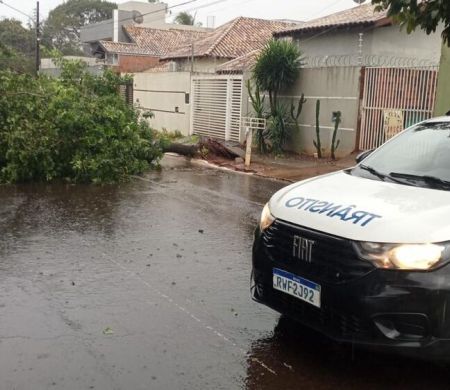 Campo Grande entra em alerta para tempestade com chuva forte e ventos intensos