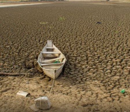País quer recuperar 163 mil km² de terras degradadas até 2030