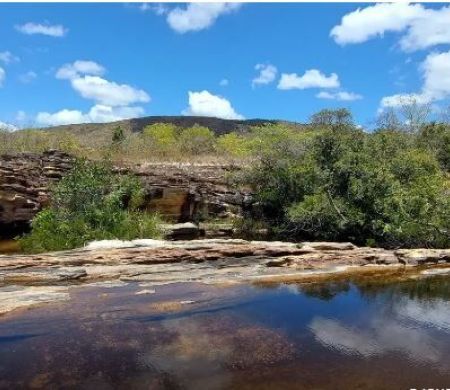Proteção de 5 biomas é essencial para enfrentar mudanças no Pantanal