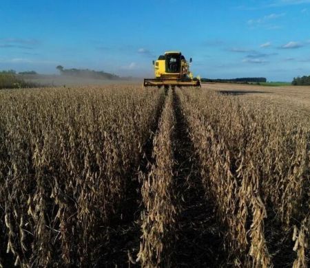 Agro tenta se afastar da polarização política após anos de desgaste