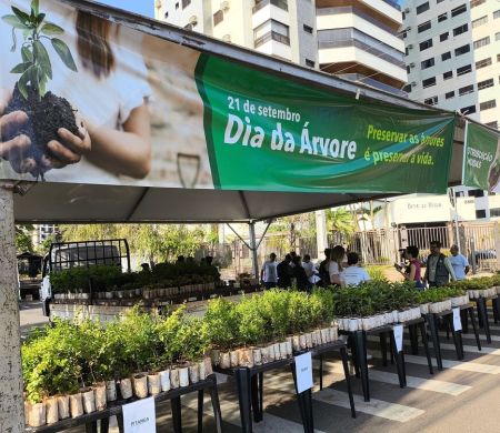 Campo Grande terá distribuição gratuita de 10 mil mudas frutíferas&nbsp;
