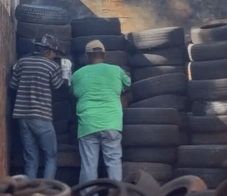 Bataguassu retira 25 toneladas de pneus de circulação e dá destino correto ao material