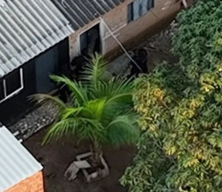 Operação contra o PCC chega a oito cidades e dois presídios de MS