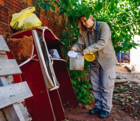 Sesau ataca focos da dengue e prepara mutirões em oito bairros de risco