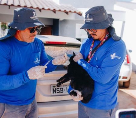Após 14 casos de raiva em morcegos, Capital amplia vacinação de pets