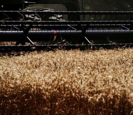 Presidente Trump anuncia mais US$ 8 bi para agricultores&nbsp;
