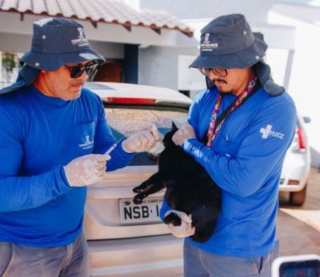 Vacinação antirrábica atende região do Nova Campo Grande neste sábado
