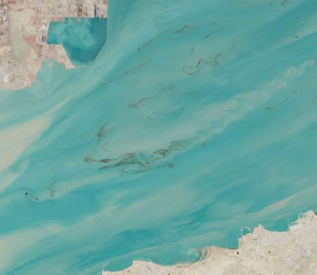Guerra no Oriente Médio eleva risco de desastre ambiental no Golfo Pérsico