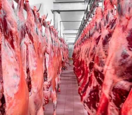 Frigoríficos de MS travam produção para os EUA após ofensiva tarifária de Trump